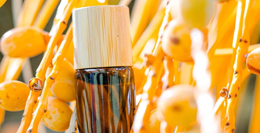 Essential Oils vs Extracts