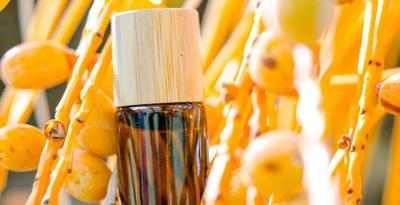 Essential Oils vs Extracts